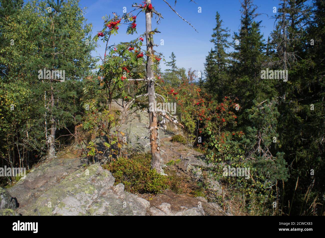 Der St. Gunther`s Felsen in der Breznik Paek in Hartmanice - Dobra Voda, Region Pilsen, Tschechische Republik, 15. September 2020. (CTK Photo/Libor Sojka) Stockfoto